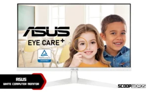 ASUS Full HD LED Monitor